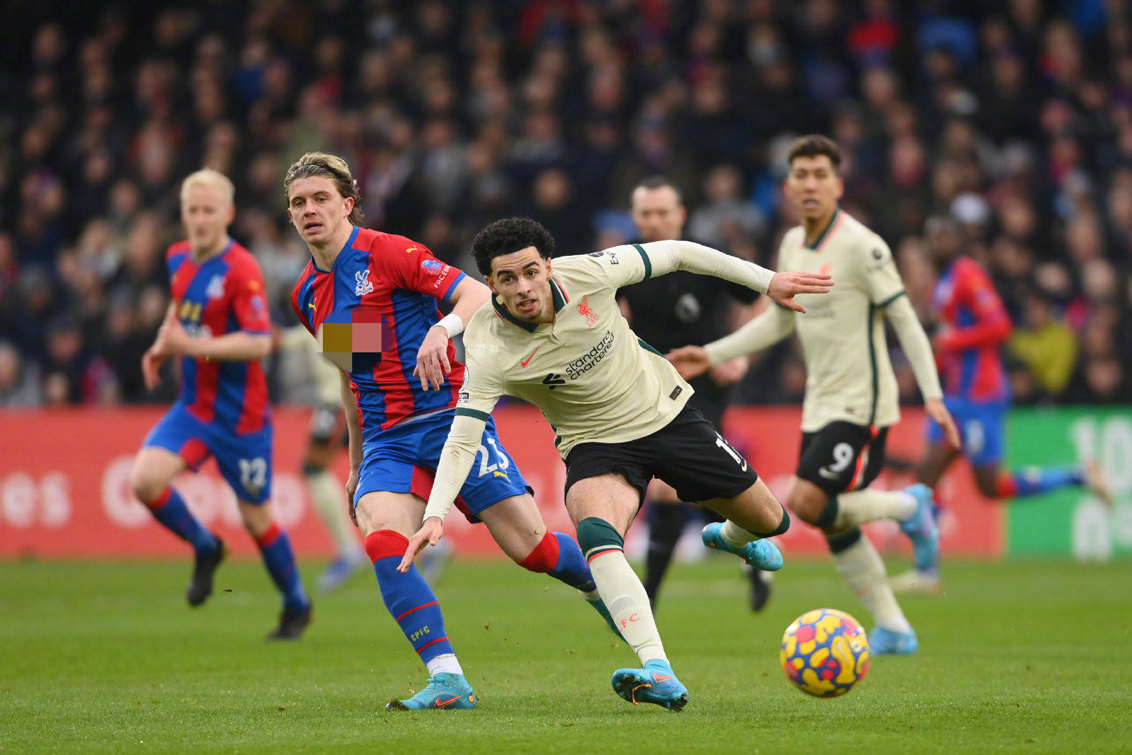 也为其他有 也为其他有